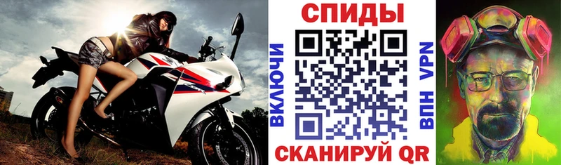 закладка Котельнич АМФ 98%