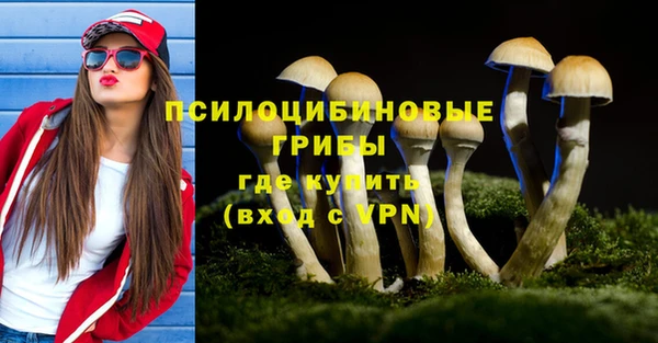 мяу мяу мука Абинск